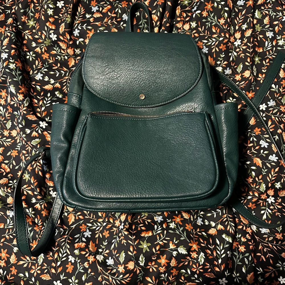 Beautiful Lauren Conrad backpack